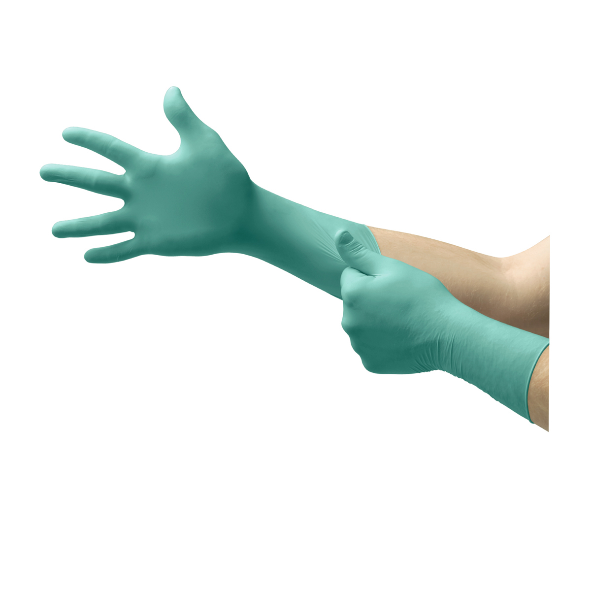 Ansell Medium Green NeoTouch® 5 mil Neoprene Disposable Gloves (Availability restrictions apply.)
