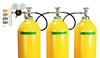Air Systems International Breathing Air Assembly Cyli A56CBA3-347NB for sale online at autumn supply