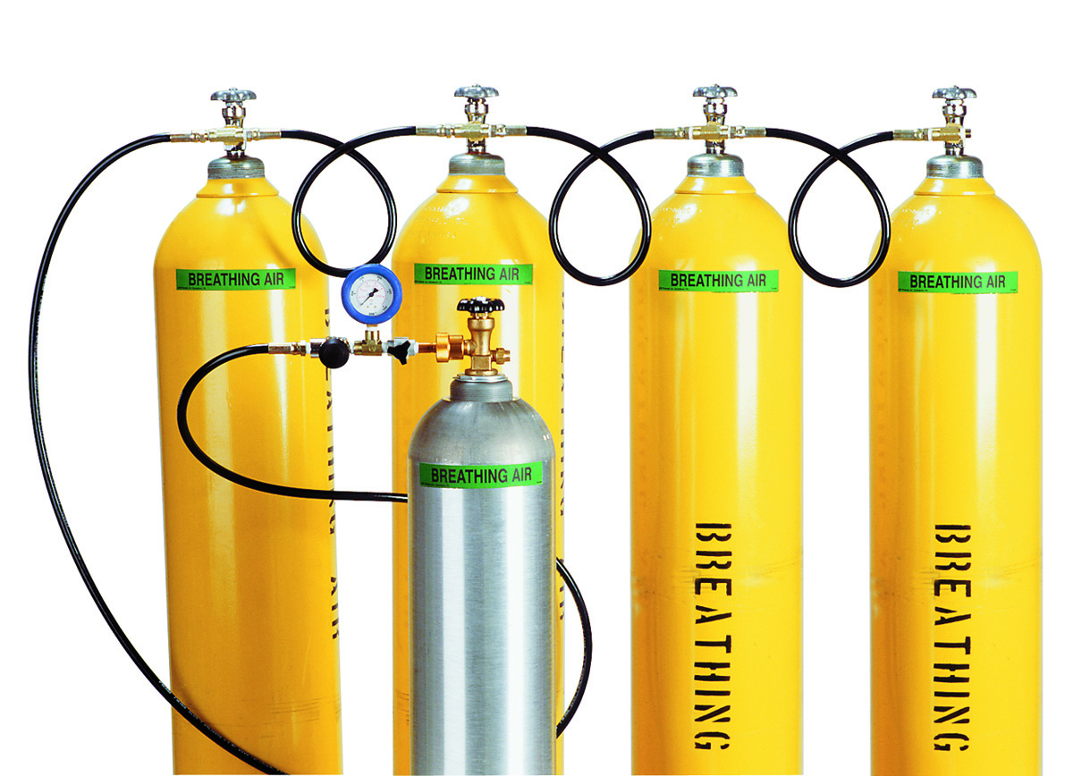 Air Systems International Breathing Air Assembly (Cylinders Sold Separately)