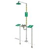 Haws AXION MSR Emergency Freeze Protected ShowerEye W H308300FP for sale online at autumn supply