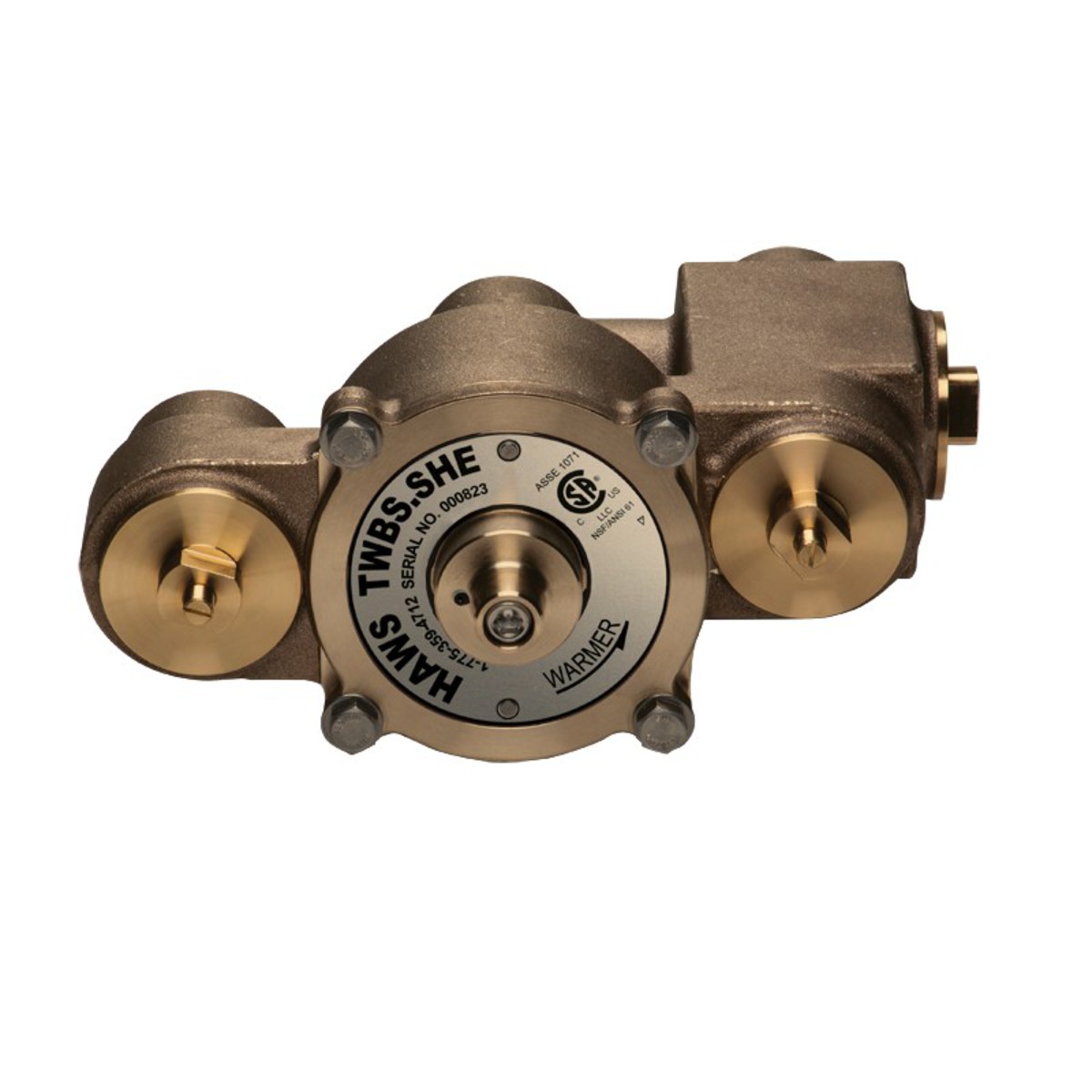 Haws® AXION® MSR Thermostatic Emergency Tempering Valve
