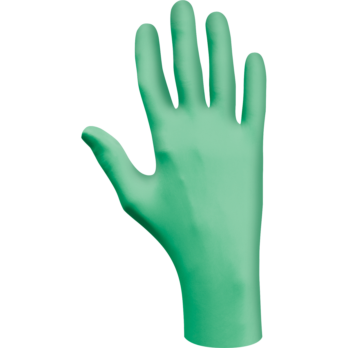 SHOWA Medium Green 5 mil Latex Disposable Gloves B131005M for sale online at autumn supply
