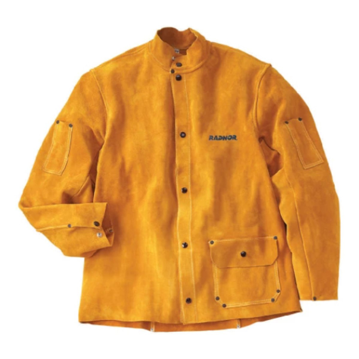 RADNOR® Large 30