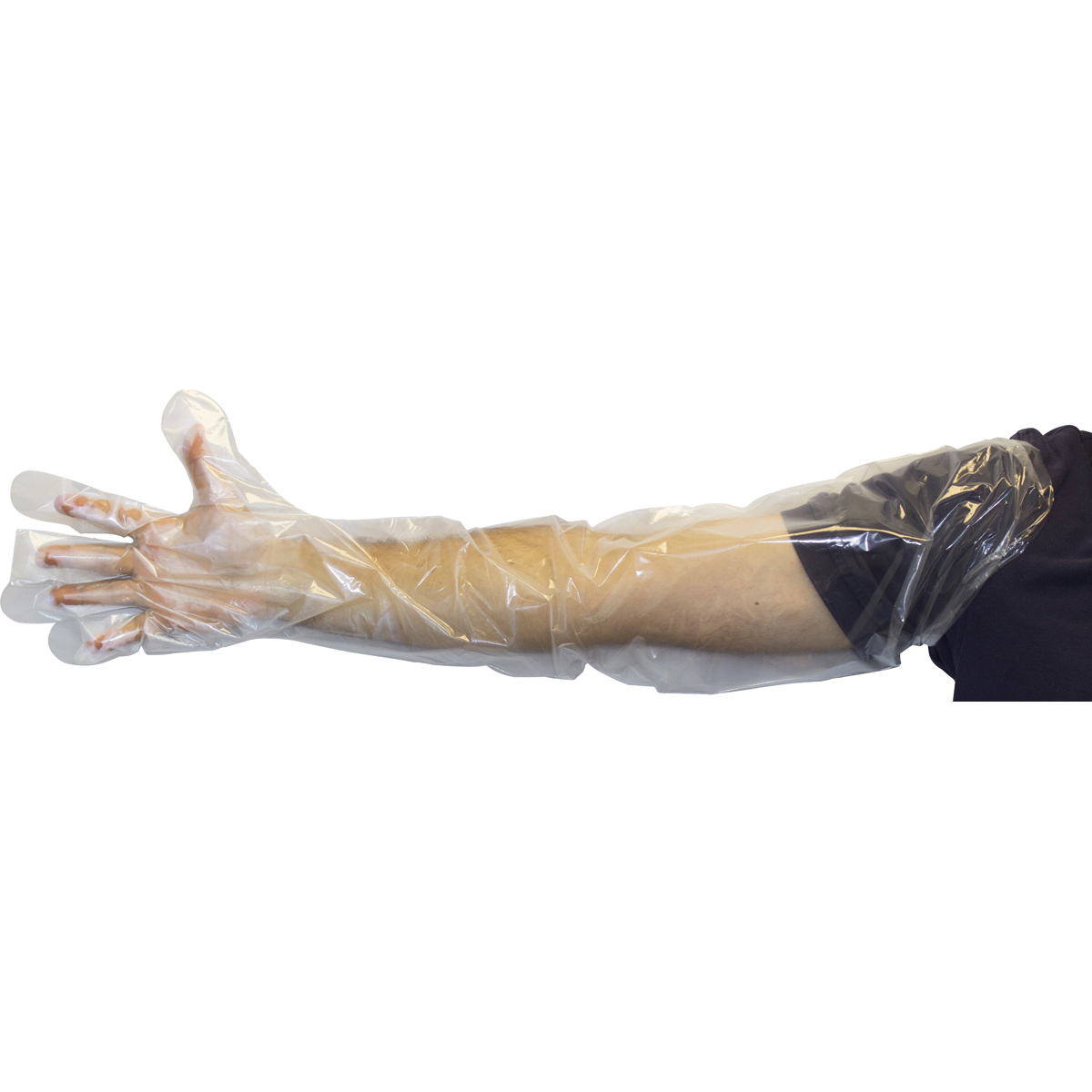 Safety Zone Large Clear 1 mil LatexFree Polyethylene SEIGDPELG35 for sale online at autumn supply