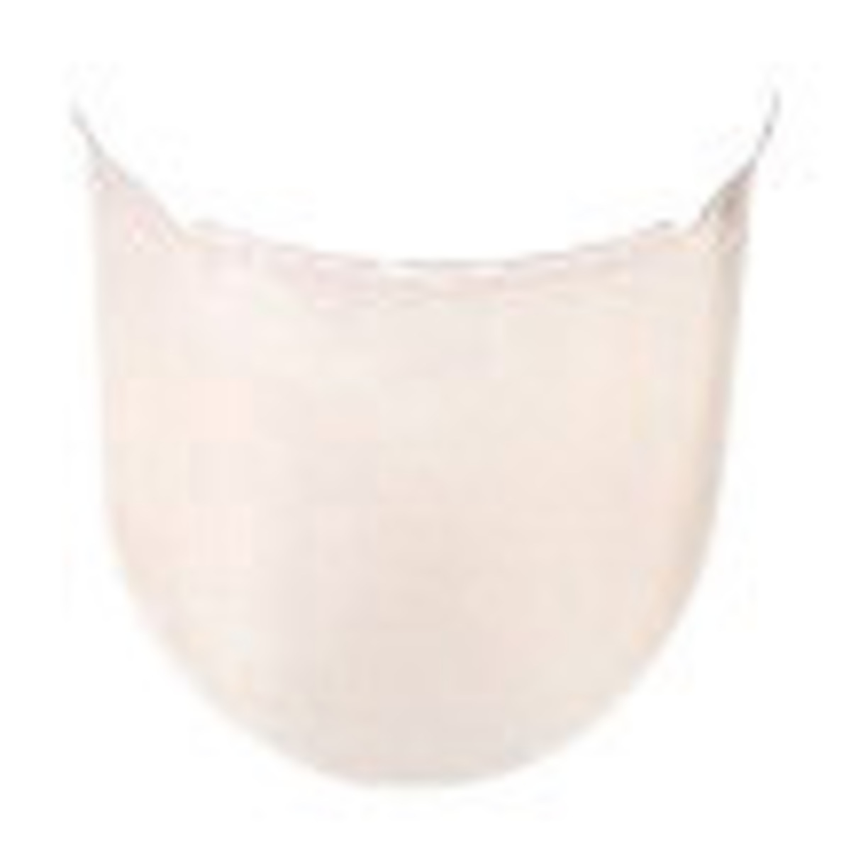 MSA VGard 9 12 X 17 34 X .07 Clear Polycarbonate Face MSA10115848 for sale online at autumn supply