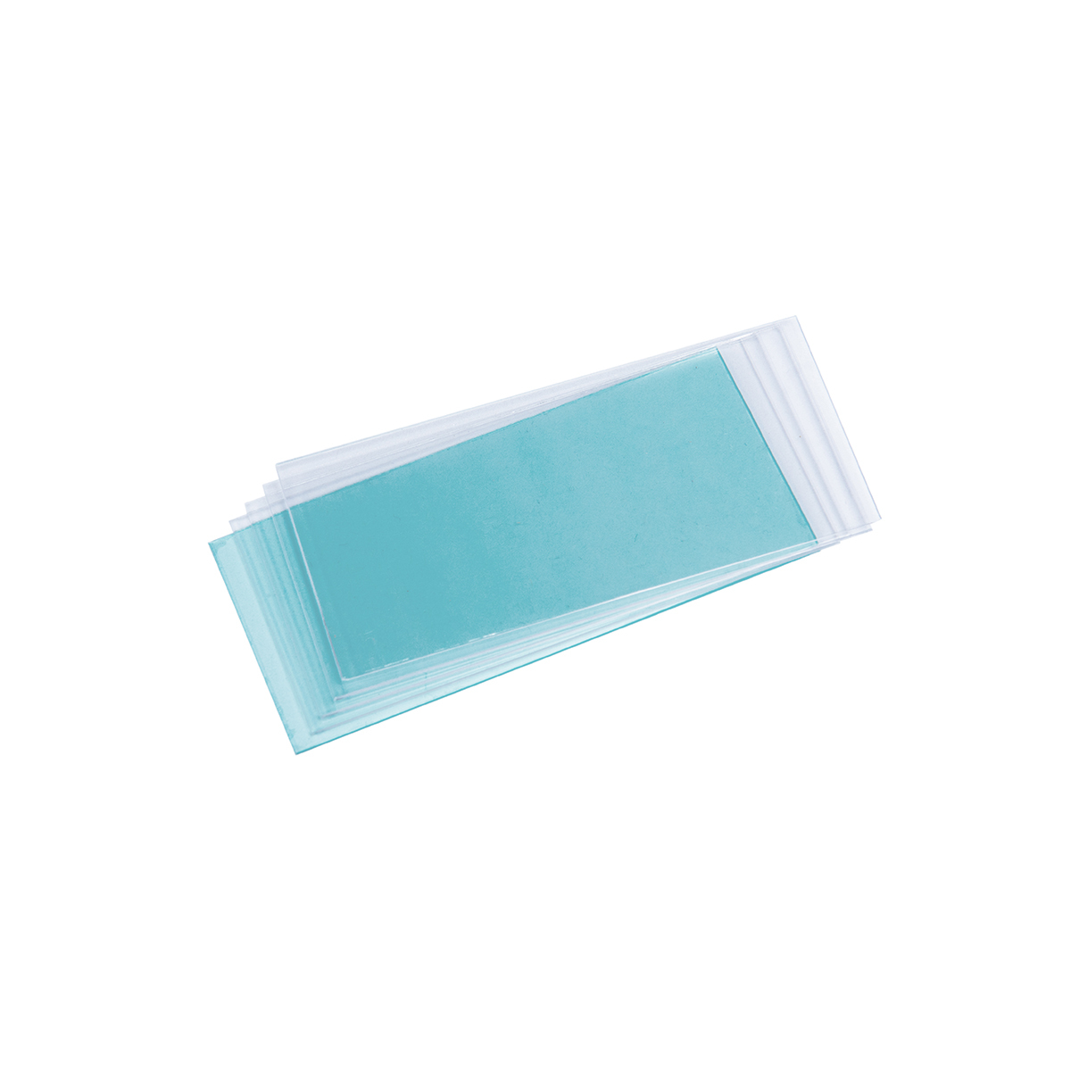 RADNOR® Clear Replacement Polycarbonate Inside Cover Plate (5 Per Package)