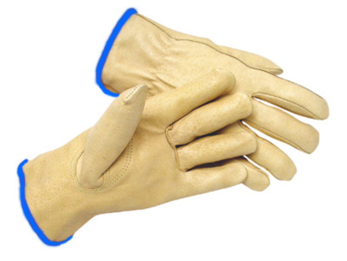 RADNOR® Natural Premium Grain Pigskin Unlined Drivers Gloves